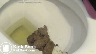 A big pile of shit in the toilet