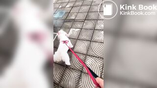 Full video of Brazilian woman with diarrhea on the str