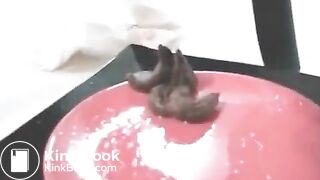 Poop talk - video 2