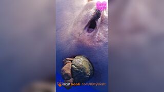 Dixie POV massive shits