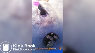 Dixie POV massive shits