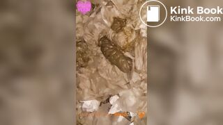 Nasty festival toilet shits