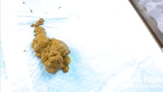 Beautiful and lovely Japanese beauties shit and fart at