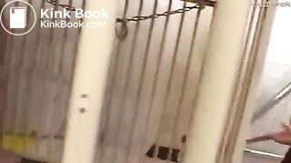 japanese mistress beat and shit slave