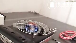 japanese mistress beat and shit slave