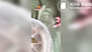 Scat 142