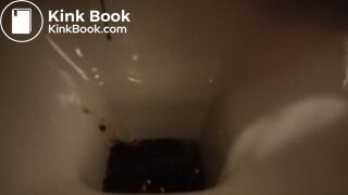 hard day for the toilet