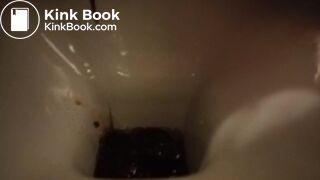 hard day for the toilet