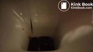 hard day for the toilet