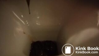 hard day for the toilet