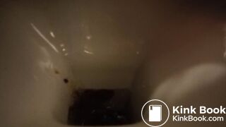 hard day for the toilet