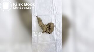 japanese scat - video 221
