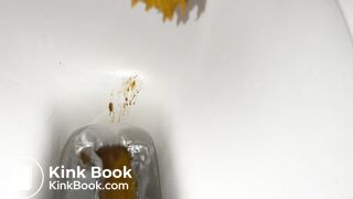 Soft shit to diarrhea pt1