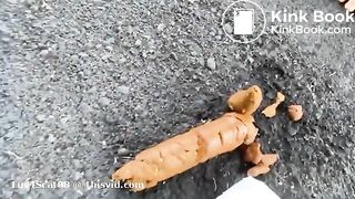 Scat 179