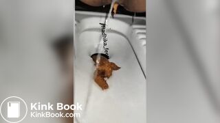 Indian women shitting - video 4