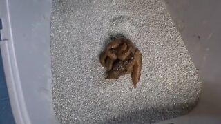 Cute cosplay and shit..