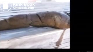 5 Minutes of Great Shits