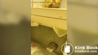 Girl shits on airplane toilet seat and pisses on sink