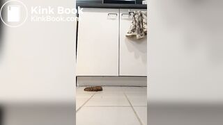 Scat 95
