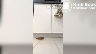 Scat 95