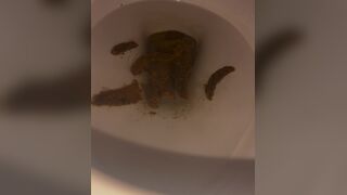 a girl filled the toilet