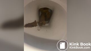 a girl filled the toilet