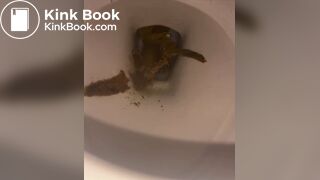 a girl filled the toilet