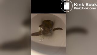 a girl filled the toilet