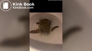 a girl filled the toilet