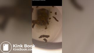 a girl filled the toilet