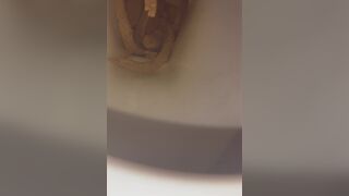 snake dump