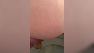 toilet shit - video 2