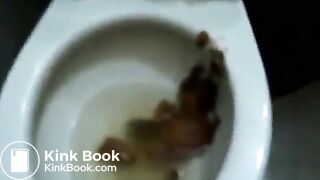 Drunk girl messy toilet poo..