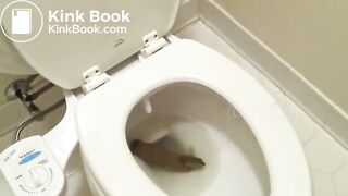 Big poo stuck in toilet clogging..