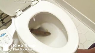 Big poo stuck in toilet clogging..