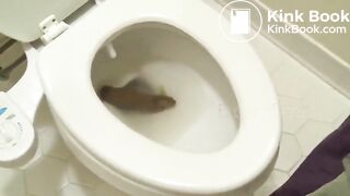 Big poo stuck in toilet clogging..