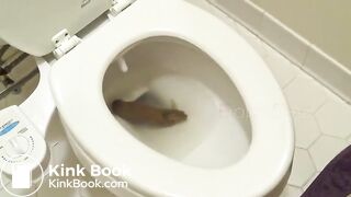 Big poo stuck in toilet clogging..