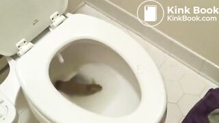 Big poo stuck in toilet clogging..