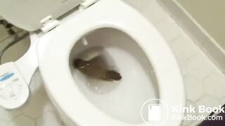 Big poo stuck in toilet clogging..