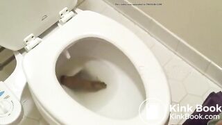 Big poo stuck in toilet clogging..