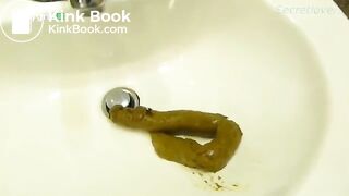 A log in the sink..