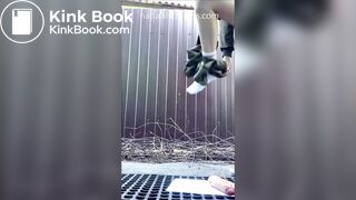 Girl takes a shit in public and fucks her ass with a dildo