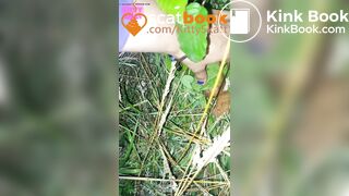 behind the campervans