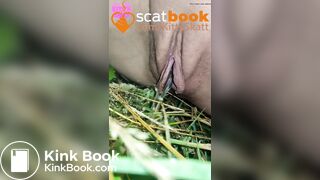 behind the campervans