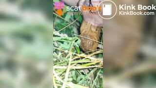 behind the campervans