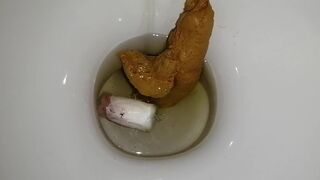 tampon poop-pt2 - the flush