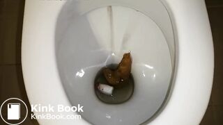 tampon poop-pt2 - the flush