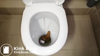 tampon poop-pt2 - the flush