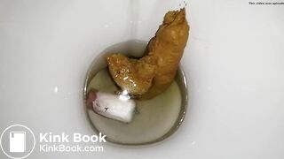 tampon poop-pt2 - the flush