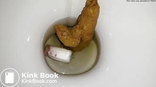 tampon poop-pt2 - the flush